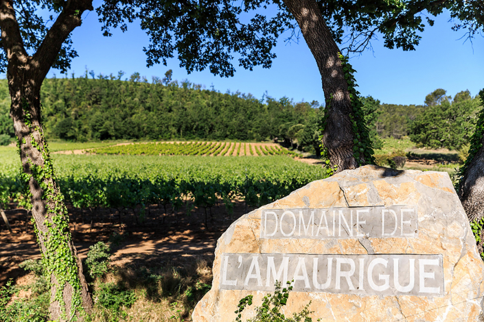 domaine-d-lamaurigue-entree